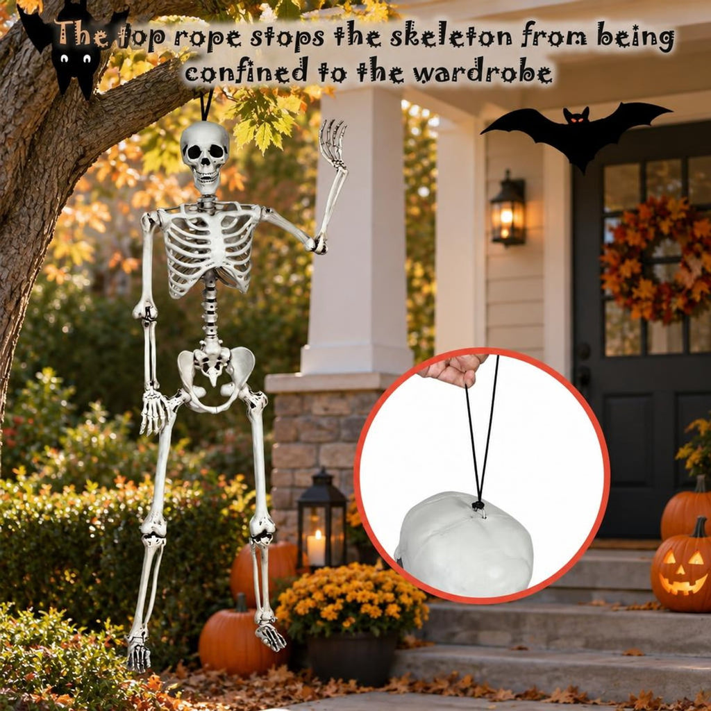 Airfind 5.4 Feet Halloween Skeleton Life Size Realistic Full Body Hanging, PP Height: 5.4FT Frame, White