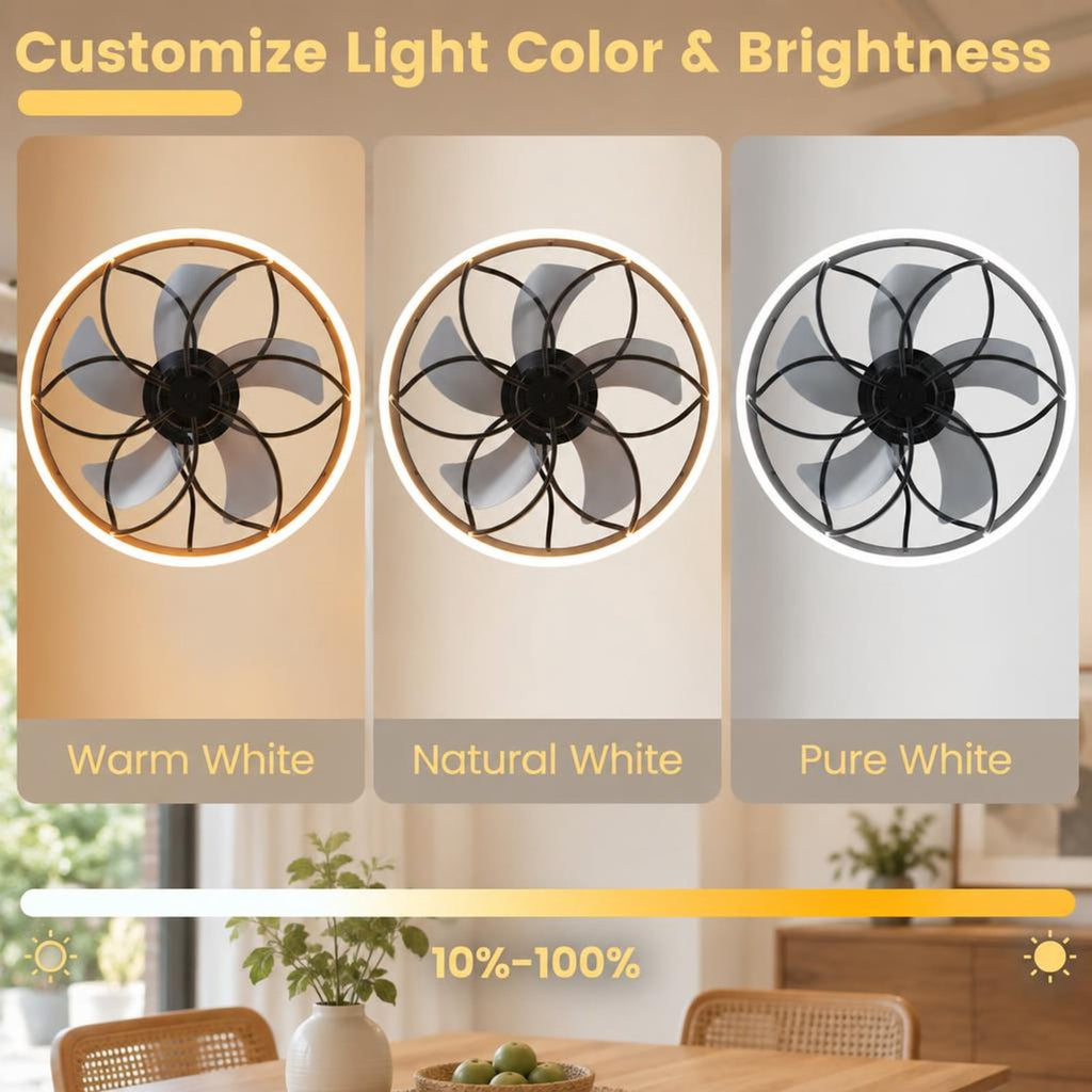 Airfind 20 Inch Ceiling Fan with Dimmable LED Light 6 Speeds and Timer, ABS Frame, 20 Inch x 15 Inch Footprint, Memory Function for Added Convenience, Black