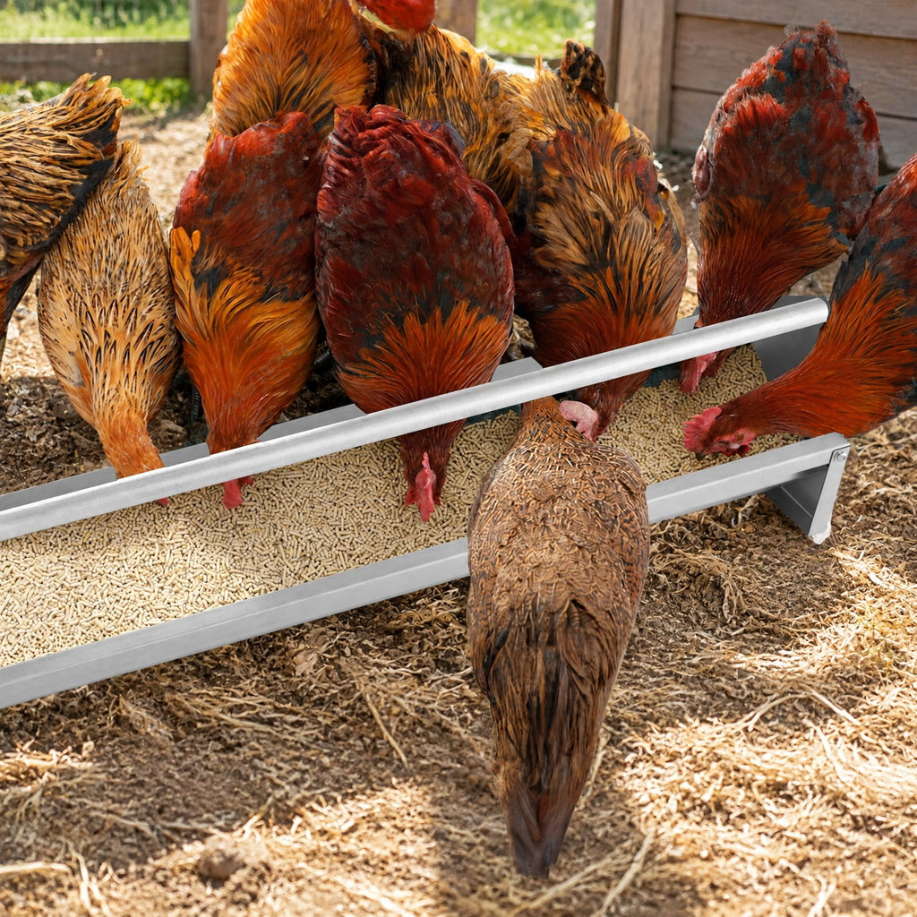 Airfind Metal Chicken Feeder Chicken Feeding Trough with Drainage Holes, Galvanized Steel Frame, 45 x 8 x 8 Footprint, Silver