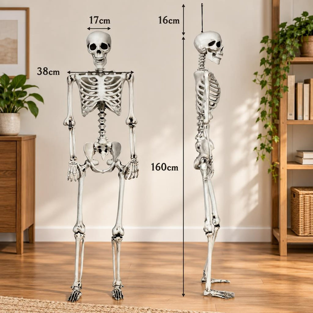 Airfind 5.4 Feet Halloween Skeleton Life Size Realistic Full Body Hanging, PP Height: 5.4FT Frame, White