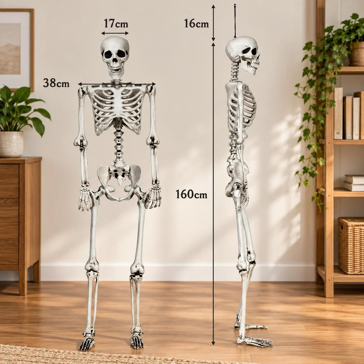 Airfind 5.4 Feet Halloween Skeleton Life Size Realistic Full Body Hanging, PP Height: 5.4FT Frame, White