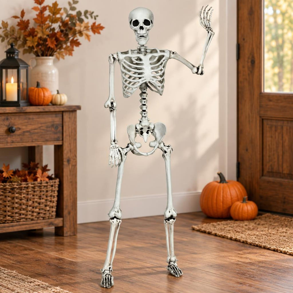 Airfind 5.4 Feet Halloween Skeleton Life Size Realistic Full Body Hanging, PP Height: 5.4FT Frame, White