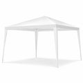 Airfind 10 x 10 Feet Outdoor Wedding Canopy Tent for Backyard, Polyethylene fabrics Frame: Powder coated steel Frame, 10 x 10 x 8.5 Footprint