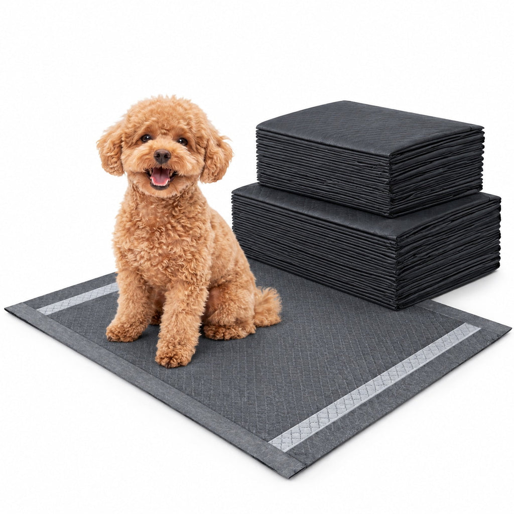 Airfind 24 Inch x 24 Inch Charcoal Dog Pee Pads 6-Layer for Dogs, Non-woven Fabric Fluffy Pulp PE Film Absorbent Tissue Pee Frame, Black