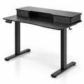 Airfind 48 Inch x 24 Inch Height Adjustable Electric Standing Desk with 2 Drawers, 200 lbs Capacity, Engineered Wood Metal Fabric Frame, Black