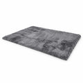 Airfind 4x6 Feet Modern Soft Shag Rug with Non-slip Grip Dots, Polyester Sponge, 4 FT X 6 FT for Convenient Everyday Use, Gray