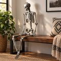 Airfind 5.4 Feet Halloween Skeleton Life Size Realistic Full Body Hanging, PP Height: 5.4FT Frame, White
