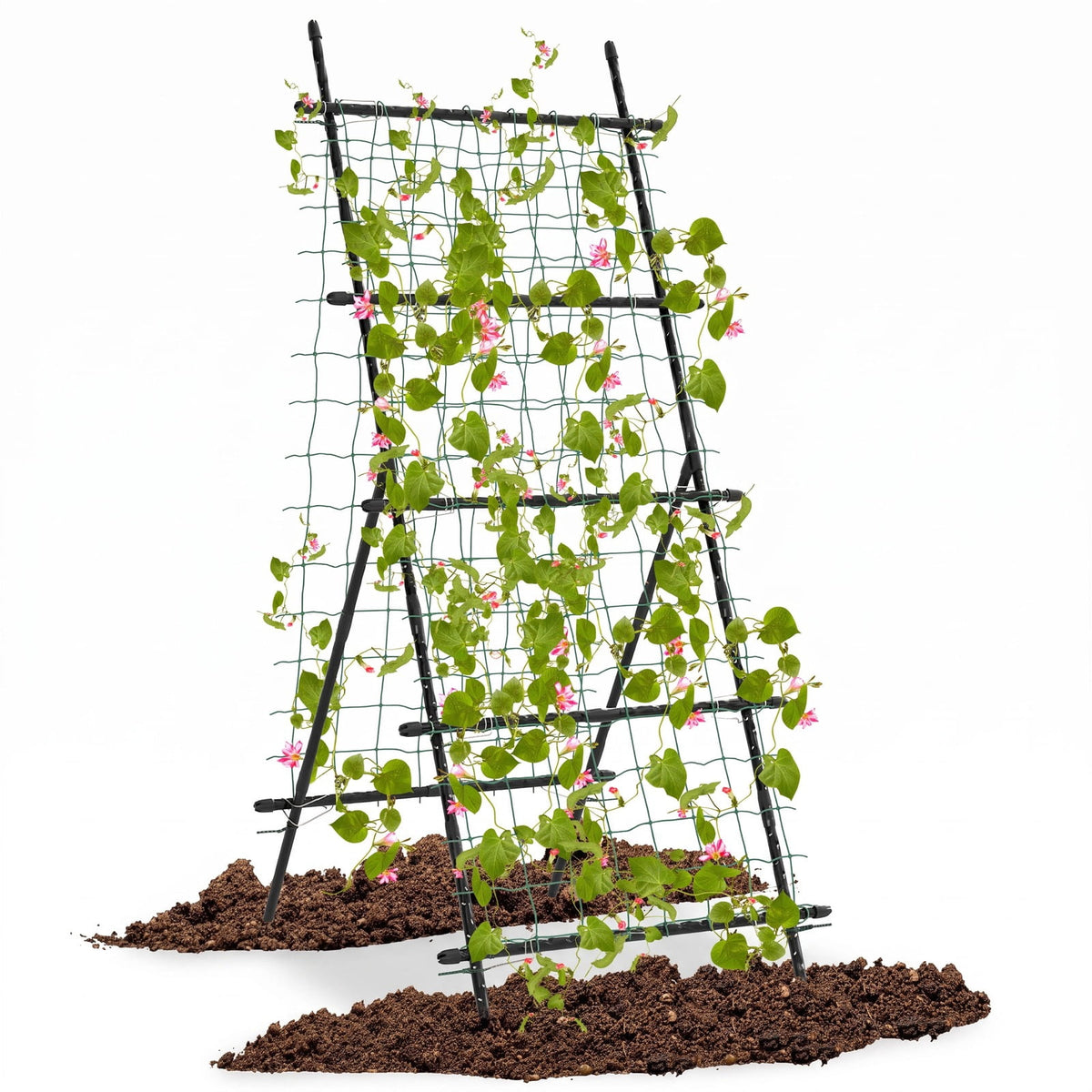 Airfind 74 Inch Tall Garden Trellis for Flower Vine Vegetable Fruit Pea, PE-Coated Metal PP Frame, 31.5 x 36.5 x 75 Footprint, Black