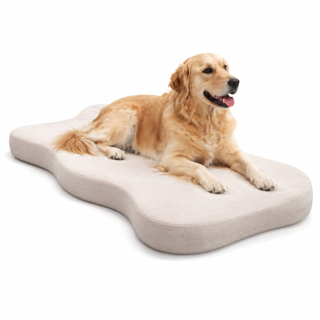 Airfind Orthopedic Dog Bed with Memory Foam Support for Large Dogs, 35D Memory Foam TPU Polyester Crystal Super Soft Fabric Frame, Beige