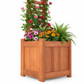 Airfind Outdoor Wooden Raised Garden Bed with Trellis, Solid Wood Frame, 16 x 16 x 48 Planter Footprint, Natural