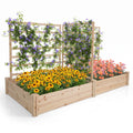 Airfind Raised Garden Bed with 2 Planter Boxes and 3 Trellis, Trellis 22 lbs Capacity, Fir Wood Frame, Natural