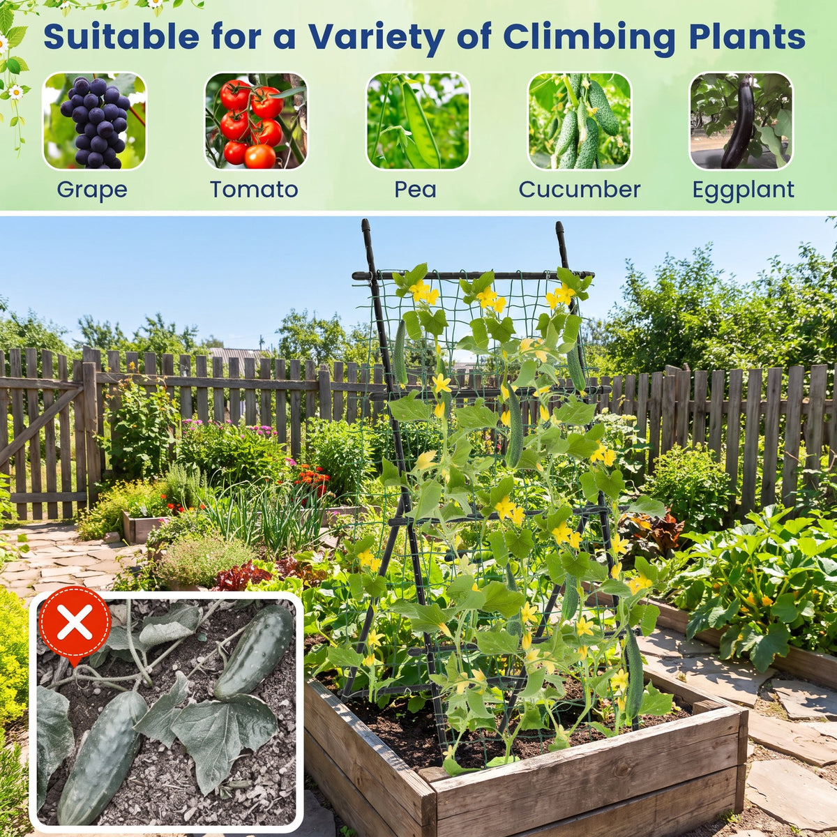 Airfind 74 Inch Tall Garden Trellis for Flower Vine Vegetable Fruit Pea, PE-Coated Metal PP Frame, 31.5 x 36.5 x 75 Footprint, Black