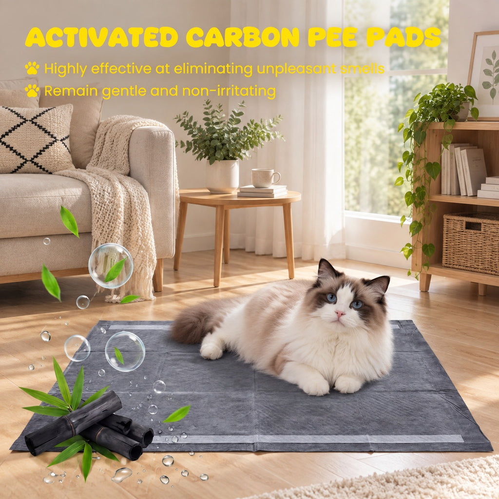 Airfind 35.5 x 24 Charcoal Dog Pee Pads 6-Layer for Dogs, Non-woven Fabric Fluffy Pulp PE Film Absorbent Tissue Pee Frame, Black