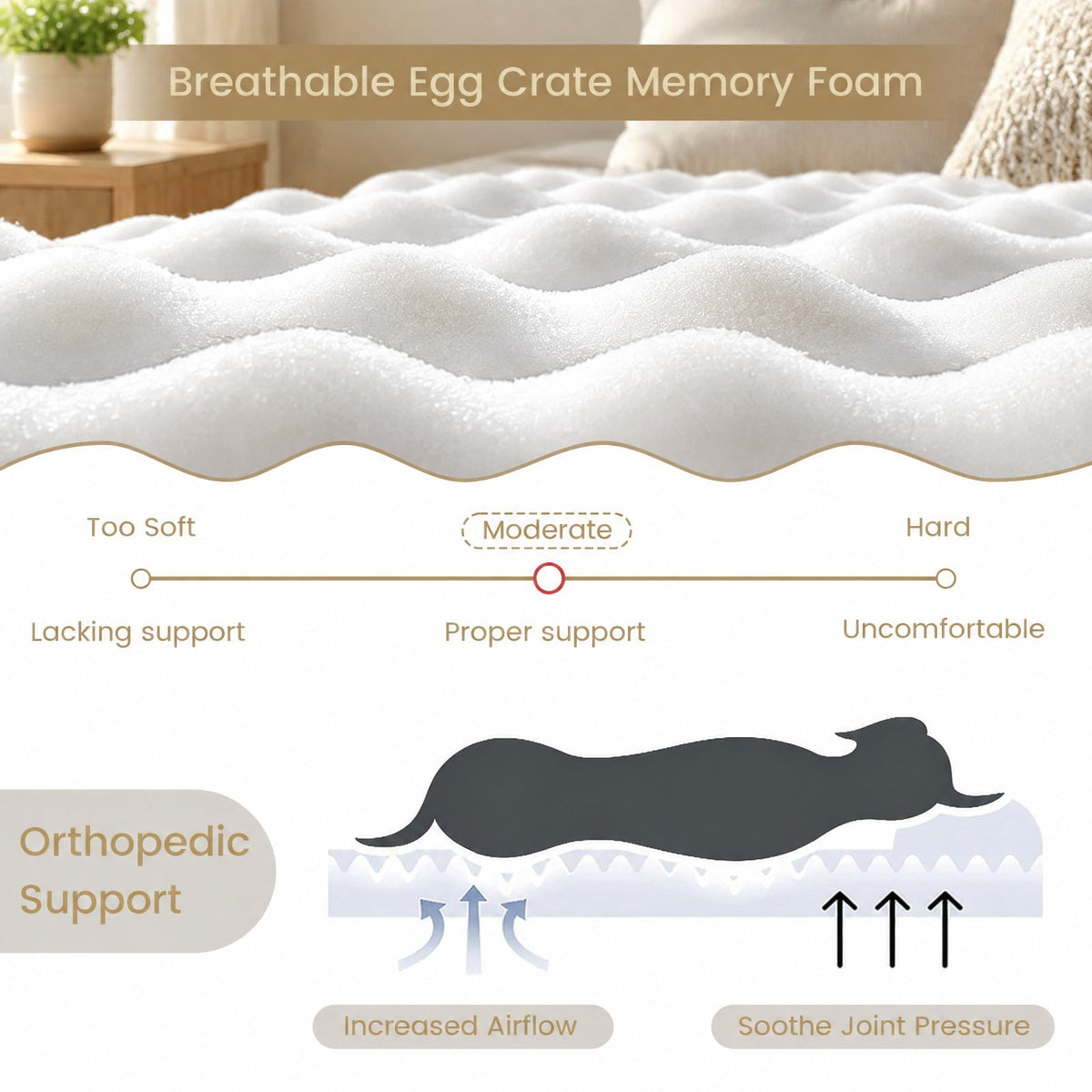 Airfind Orthopedic Dog Bed with Memory Foam Support for Large Dogs, 35D Memory Foam TPU Polyester Crystal Super Soft Fabric Frame, Beige