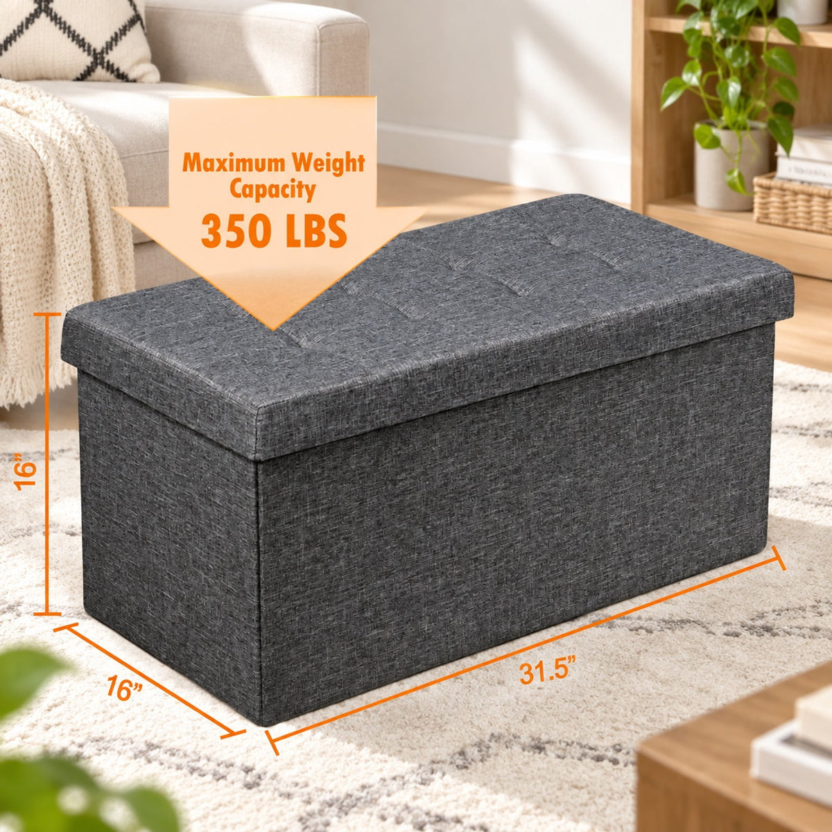 Airfind 31.5 Inch Fabric Foldable Storage with Removable Storage Bin, 350 lbs Capacity, Oxford fabric Frame, 31.5in x 16in x 16in Footprint, Dark Gray